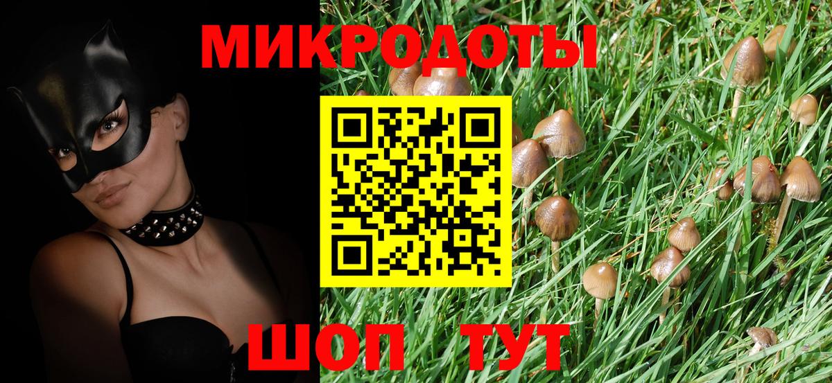 Кинель  Псилоцибиновые грибы Cubensis  Вход с VPN 