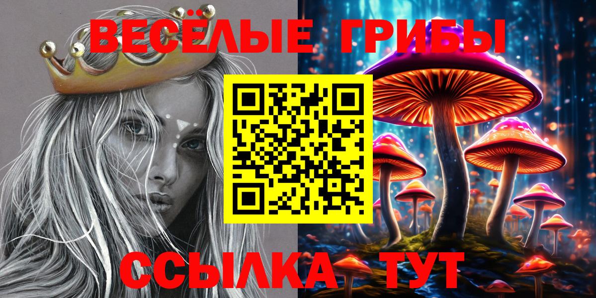 Галлюциногенные грибы Psilocybine cubensis Кинель